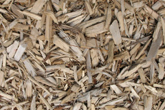 biomass boilers Chartridge